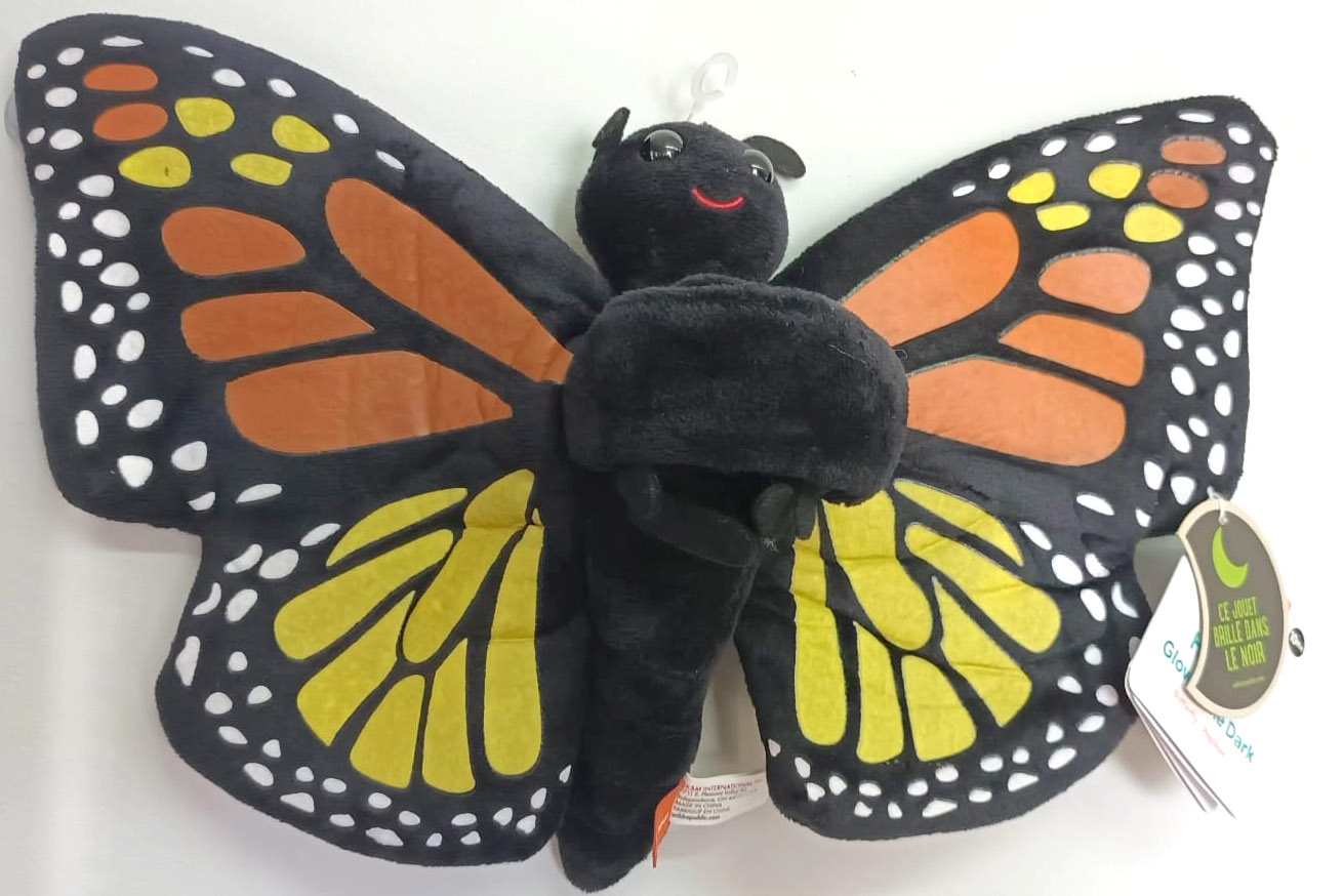 Borboleta