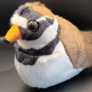 Borrelho-de-coleira em peluche