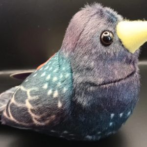 Estorninho em peluche