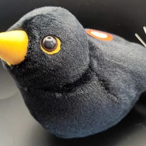 Melro-preto