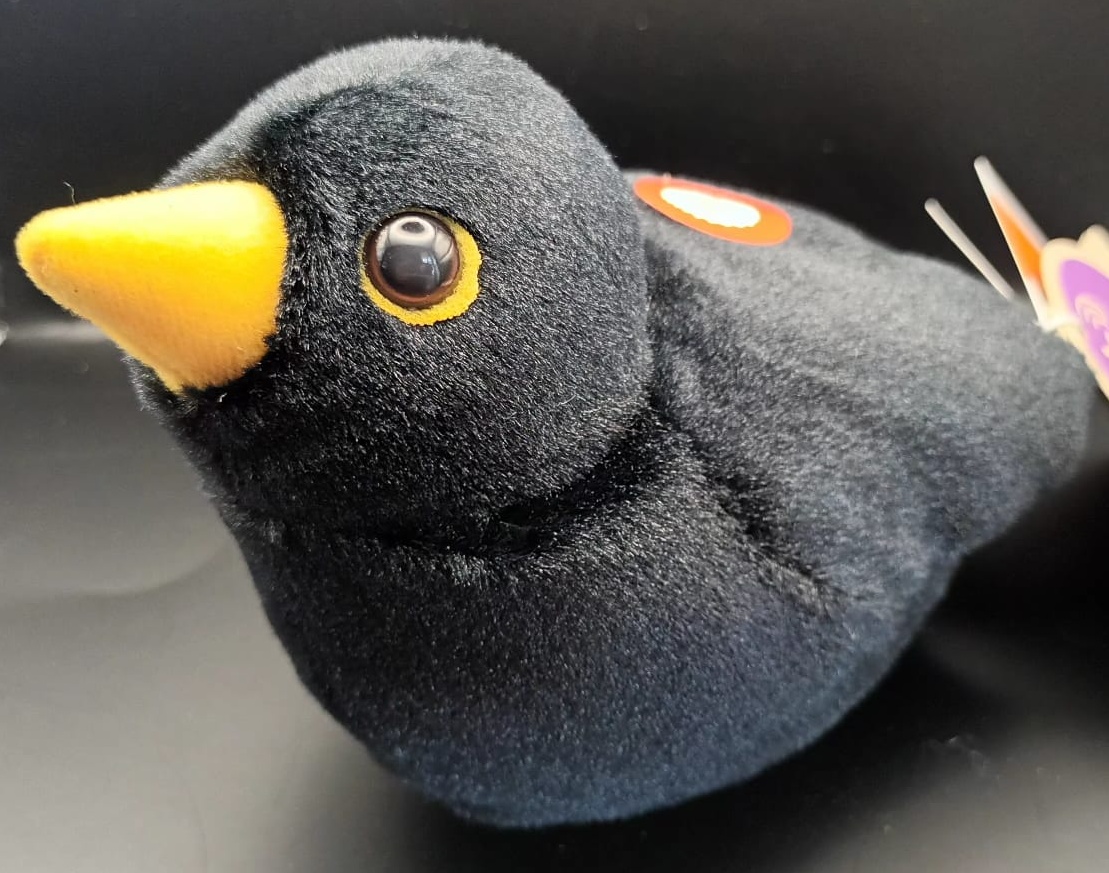 Melro-preto