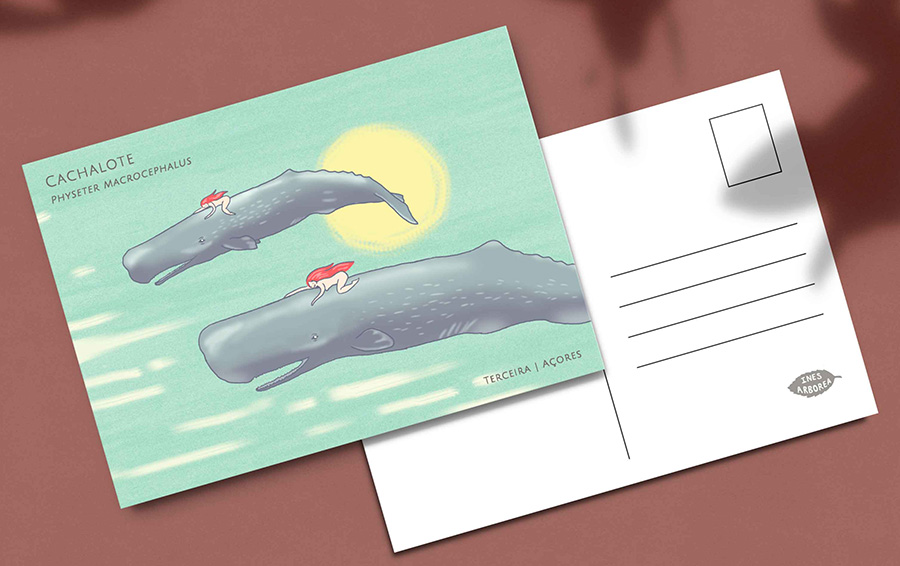 Postcard mockup design template and soft shadow overlay. Minimal