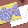 Postal ilustrado Hortensia