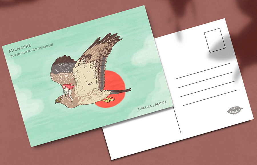 Postcard mockup design template and soft shadow overlay. Minimal